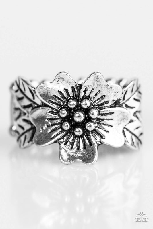 Rio Retreat ~ Silver