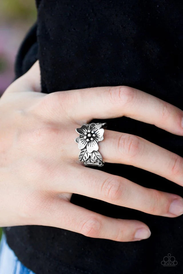 Rio Retreat ~ Silver