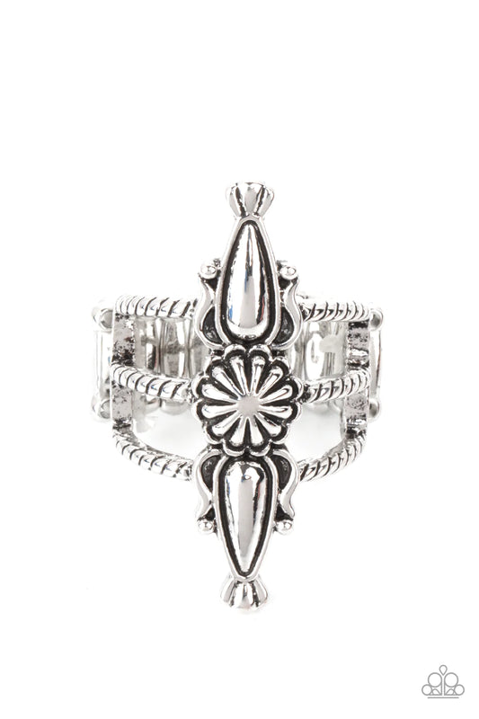 Westward Expansion ~ Silver